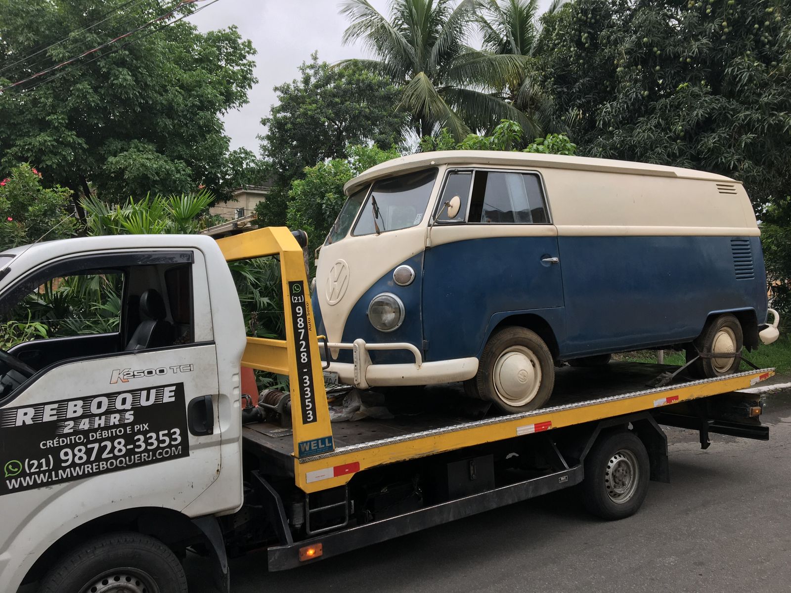 WhatsApp Image 2025-02-02 at 17.17.57