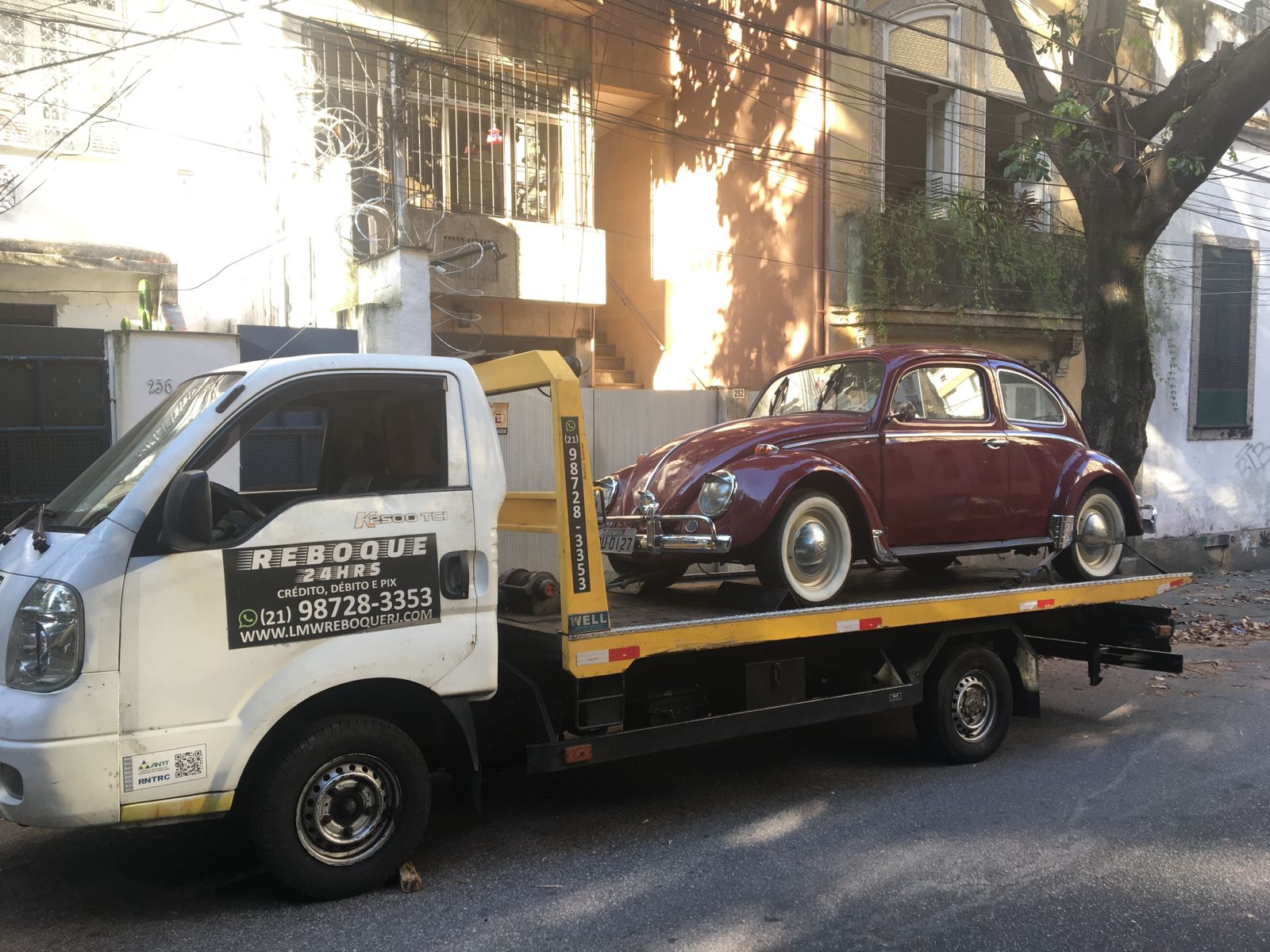 WhatsApp Image 2025-02-02 at 17.18.00